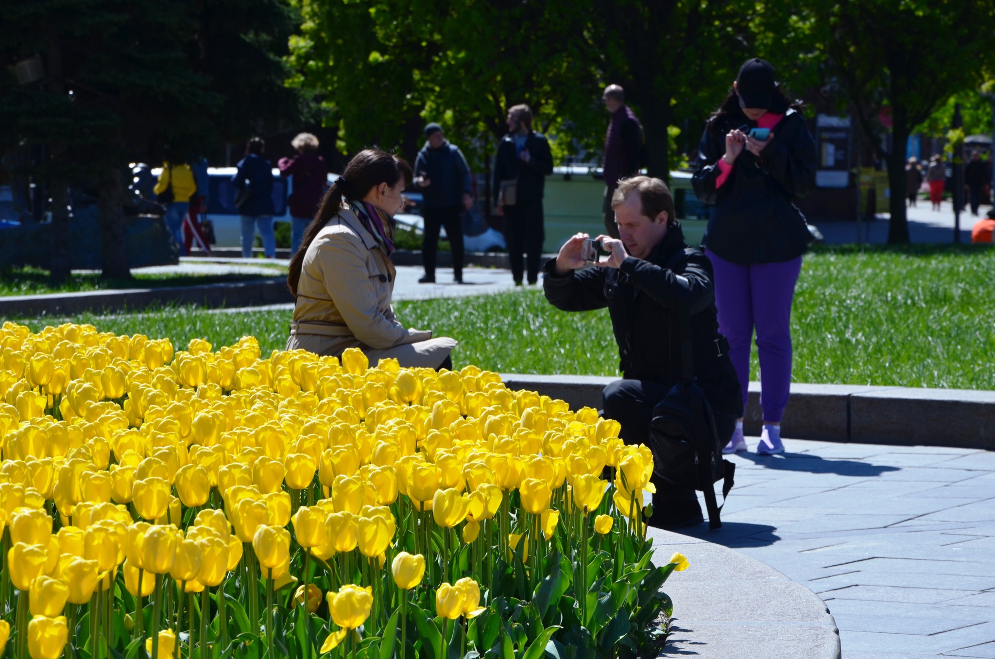 Фото: facebook.com/zelenbud