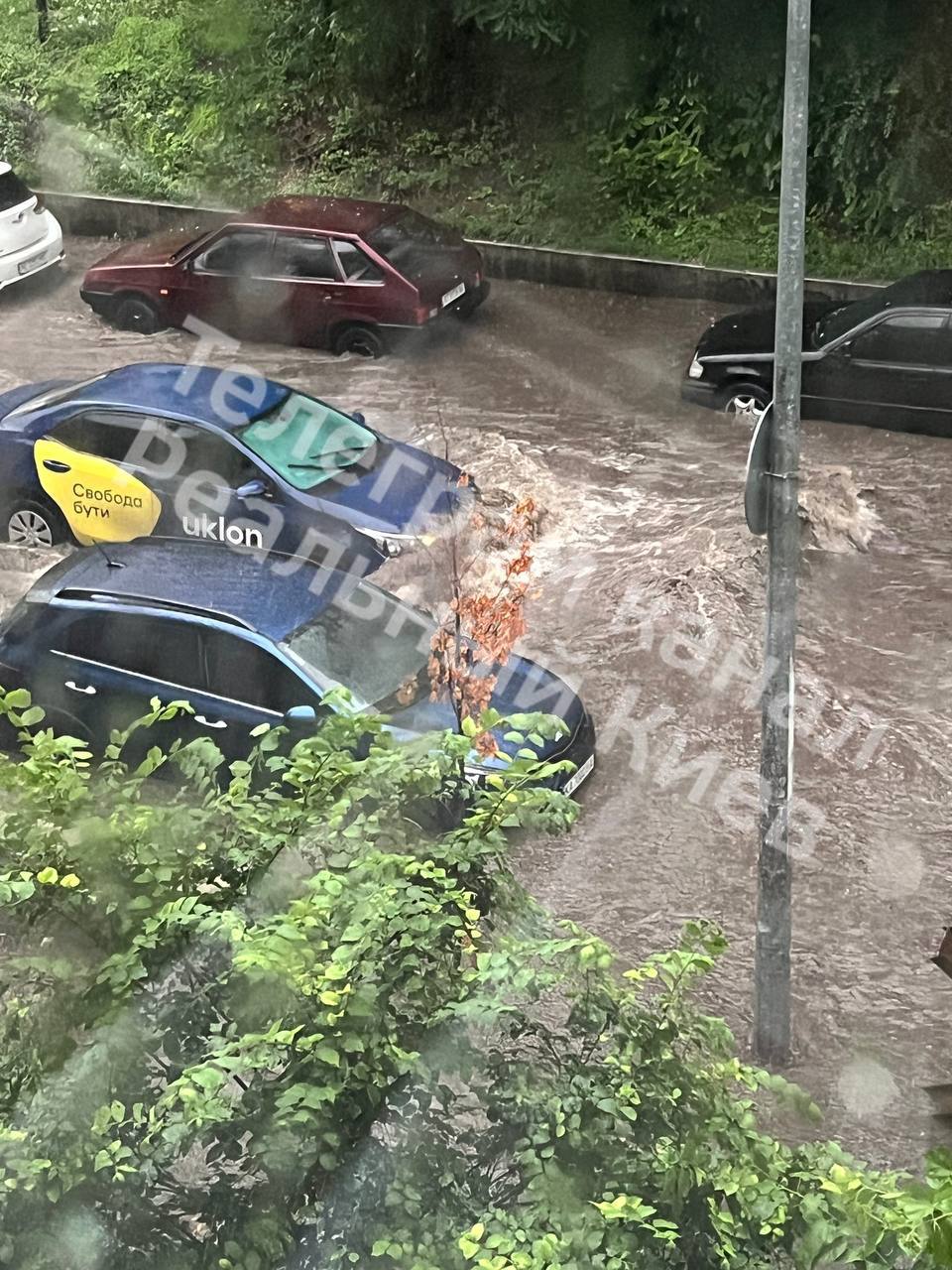 Фото: t.me/kievreal1