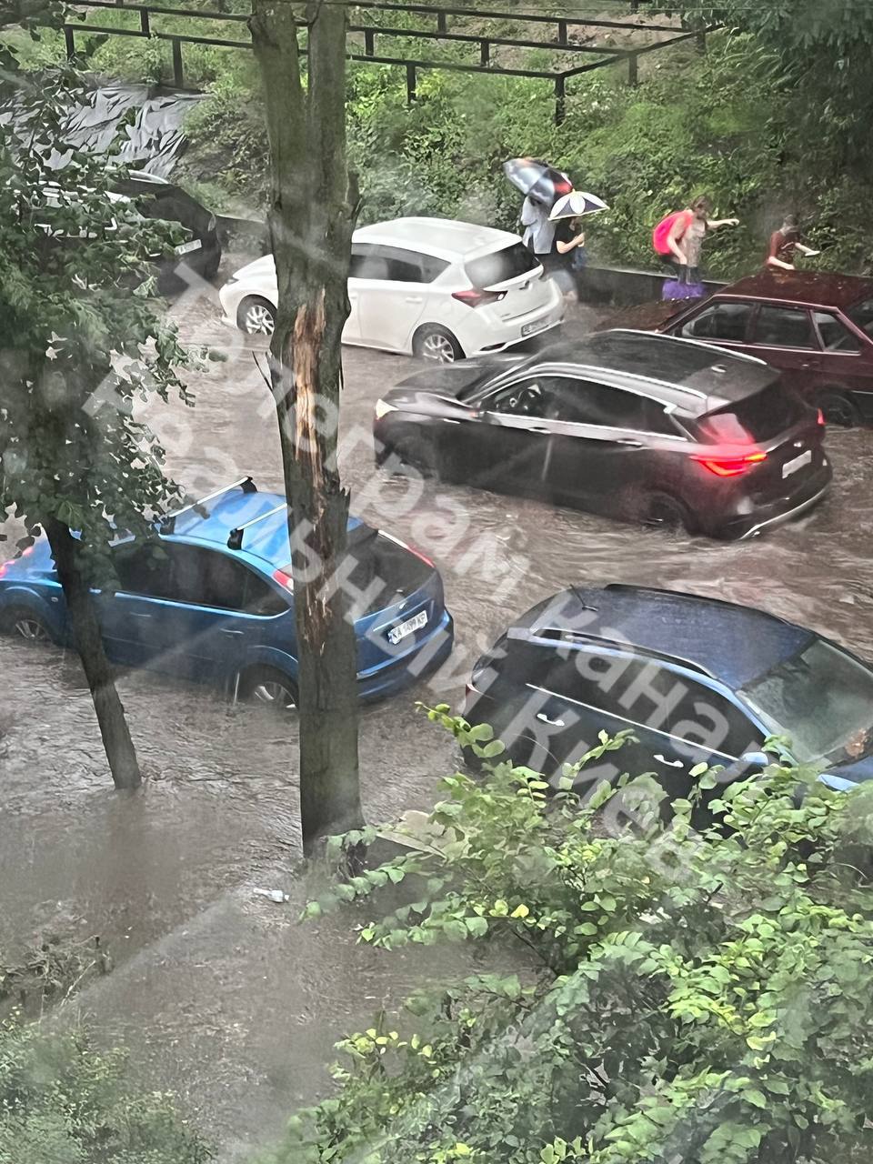 Фото: t.me/kievreal1