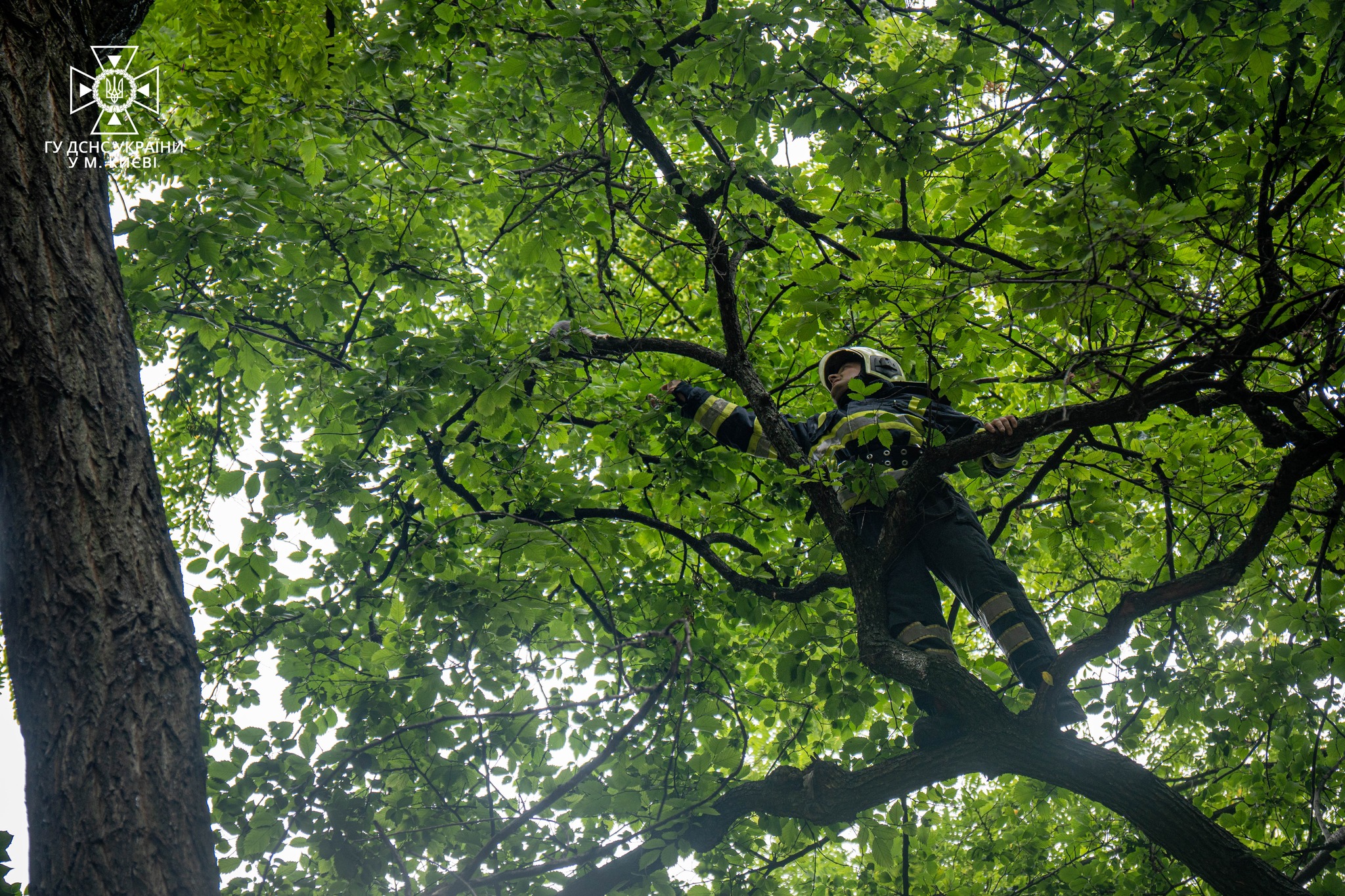 Фото: facebook.com/DSNSKyiv