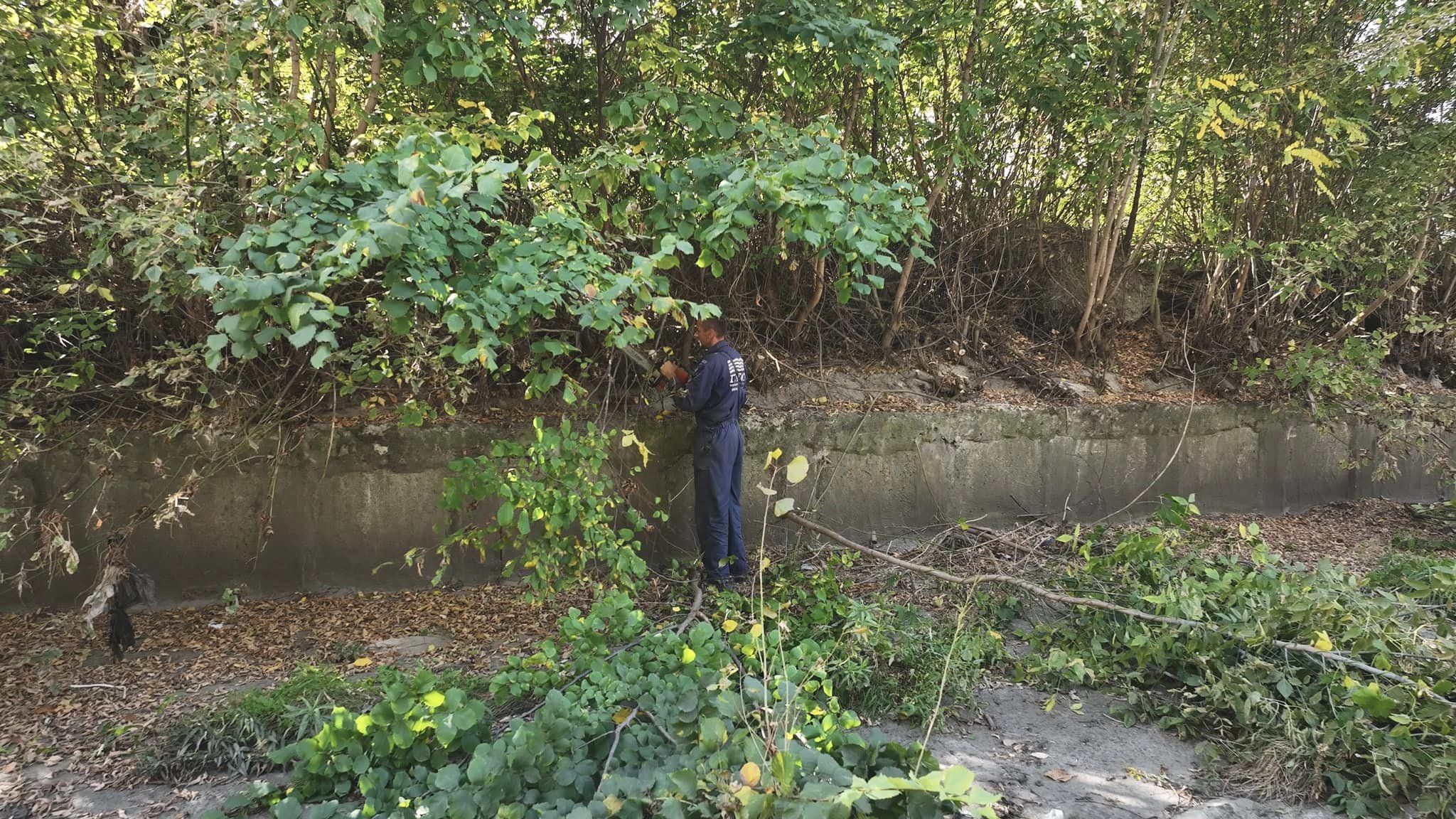 Фото: facebook.com/pleso2016