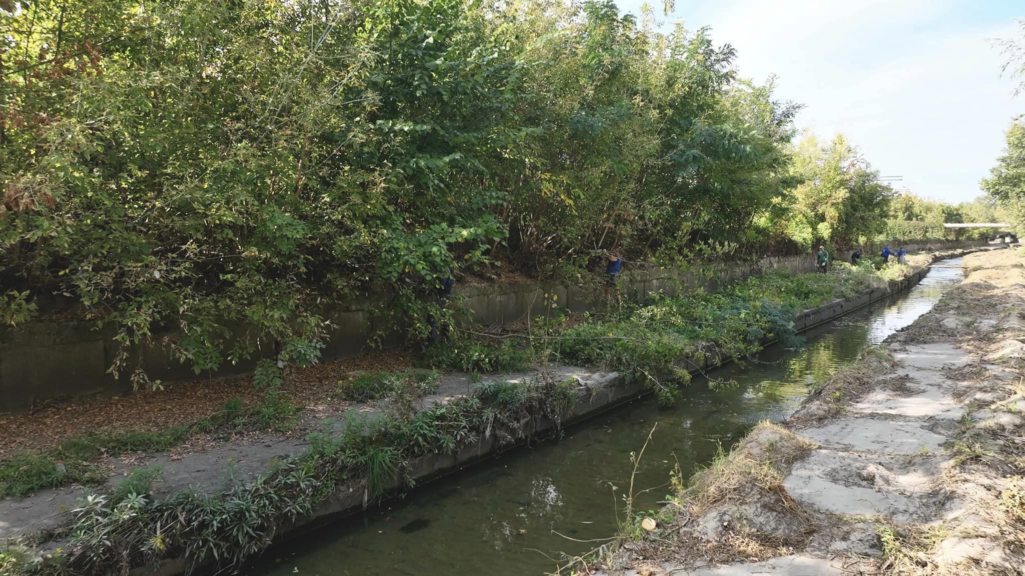 Фото: facebook.com/pleso2016