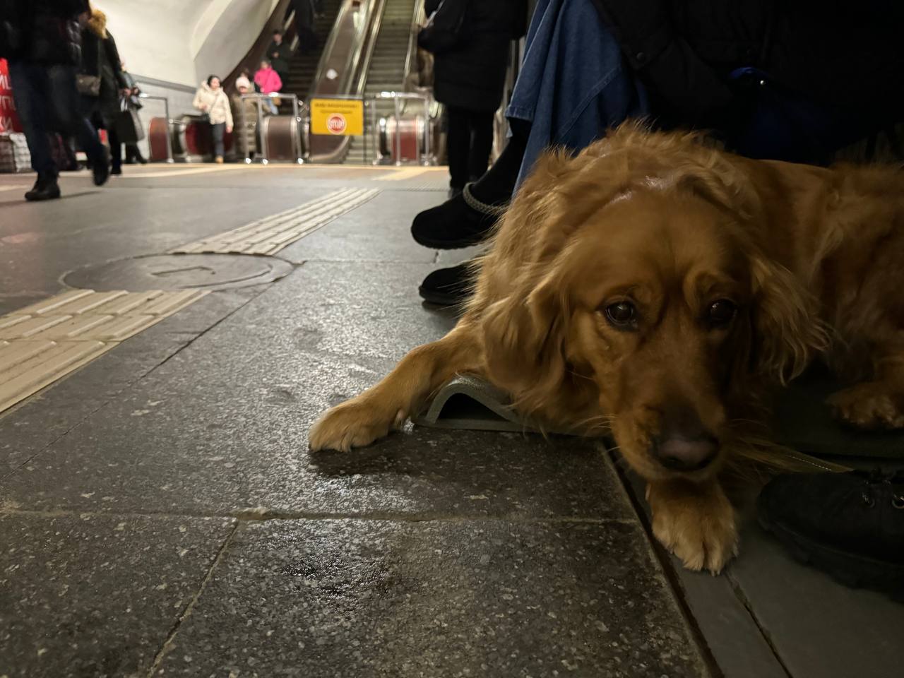 Фото: kyivcity.gov.ua