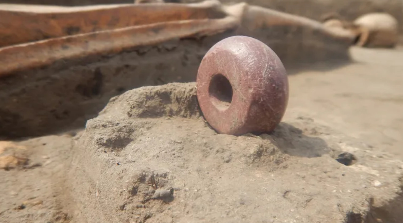 Фото: В'ячеслав Баранов 