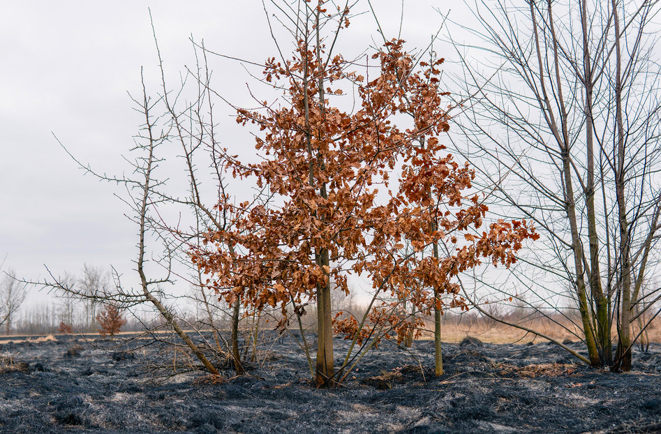 Фото: kyivcity.gov.ua