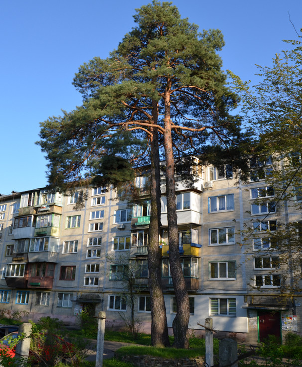 Фото: telegraf.com.ua