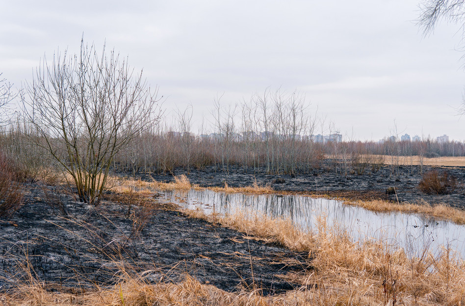 Фото: kyivcity.gov.ua