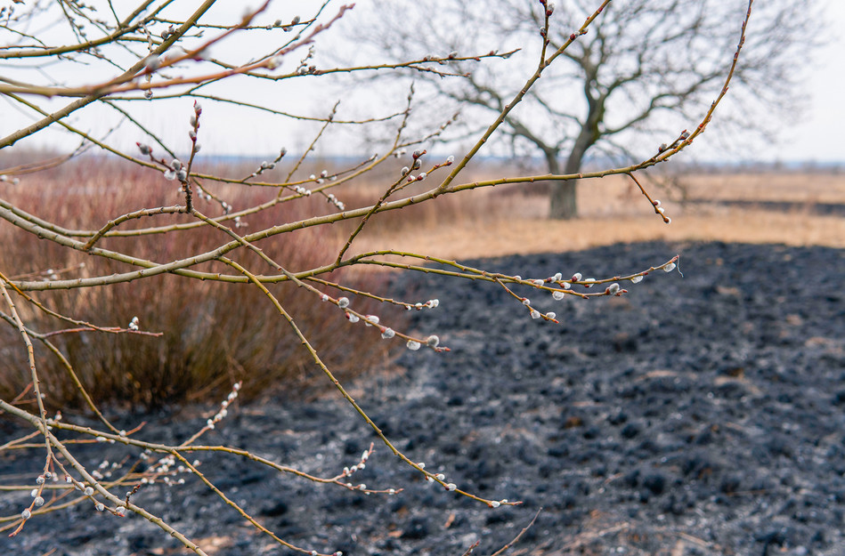 Фото: kyivcity.gov.ua