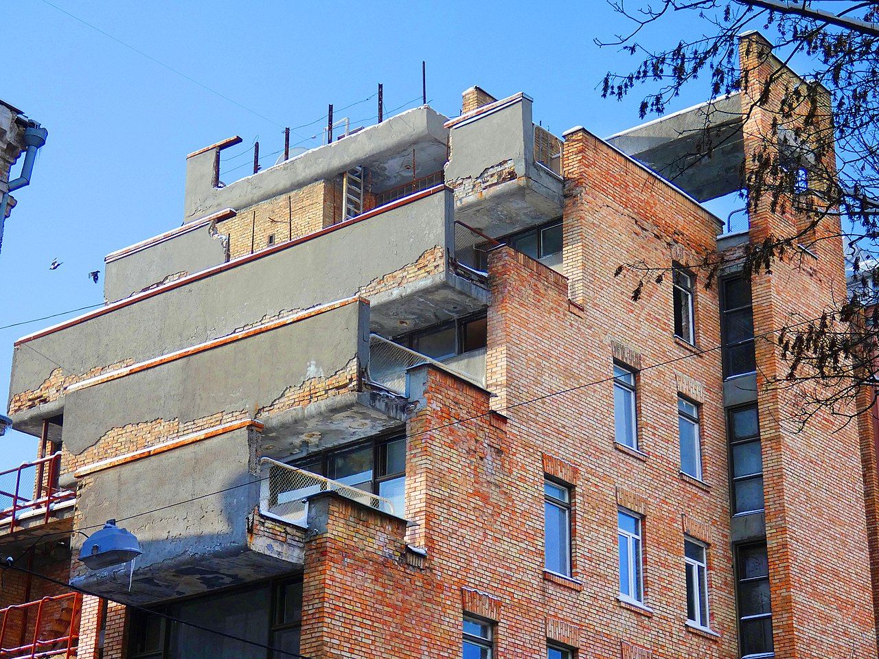 Фото: instagram.com/balbekus