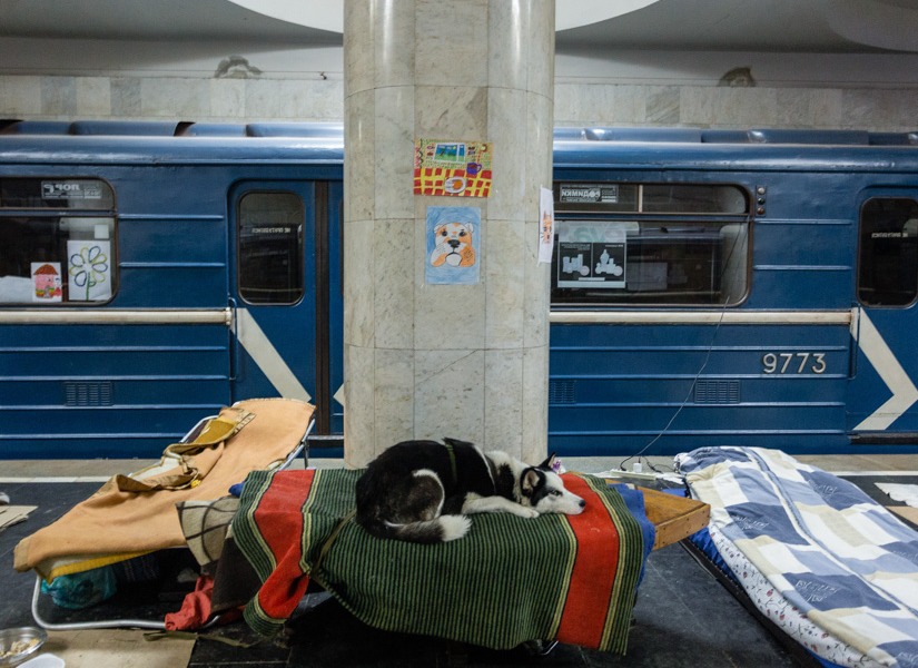 Фото: Павел Дорогой