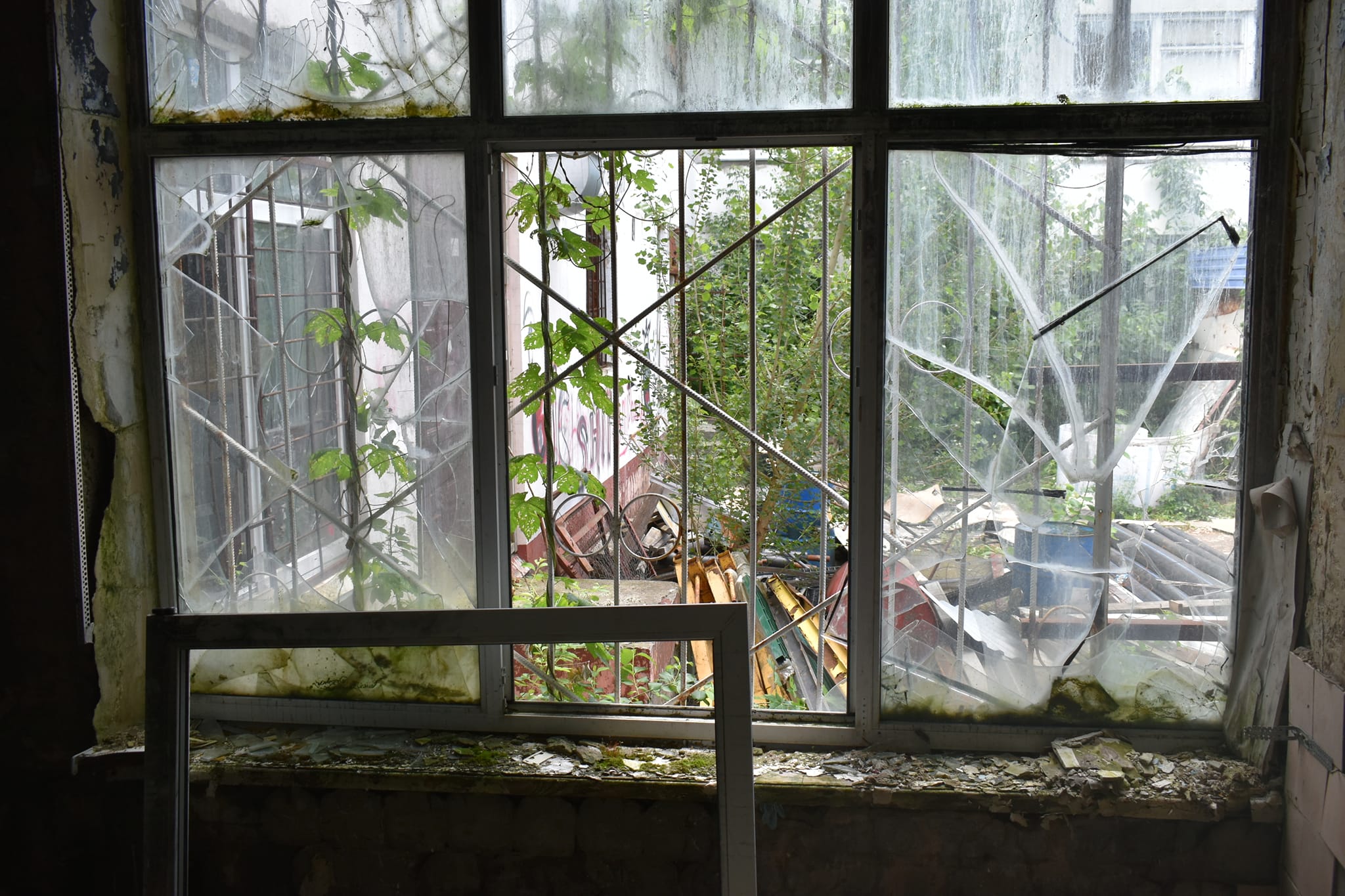 Фото: facebook.com/Kyrylo.Fesik