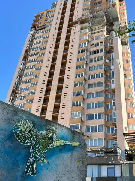 Парижский художник C215 создал несколько граффити в Киеве и области.