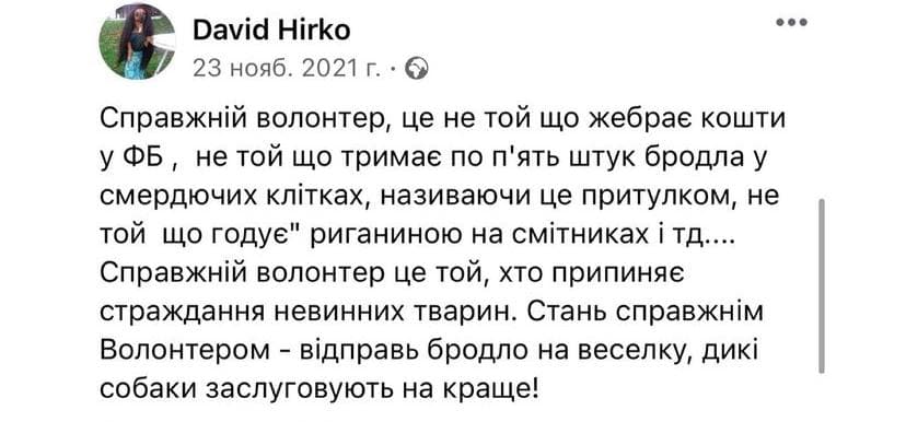 Киевские догхантеры призывают помогать бездомным животным