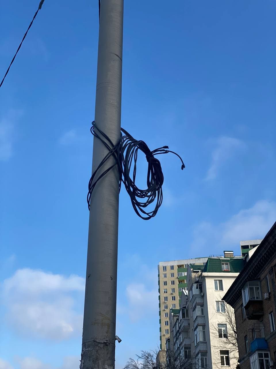 В Соцгороде собака справила нужду на столб и умерла от удара током фото 2 1