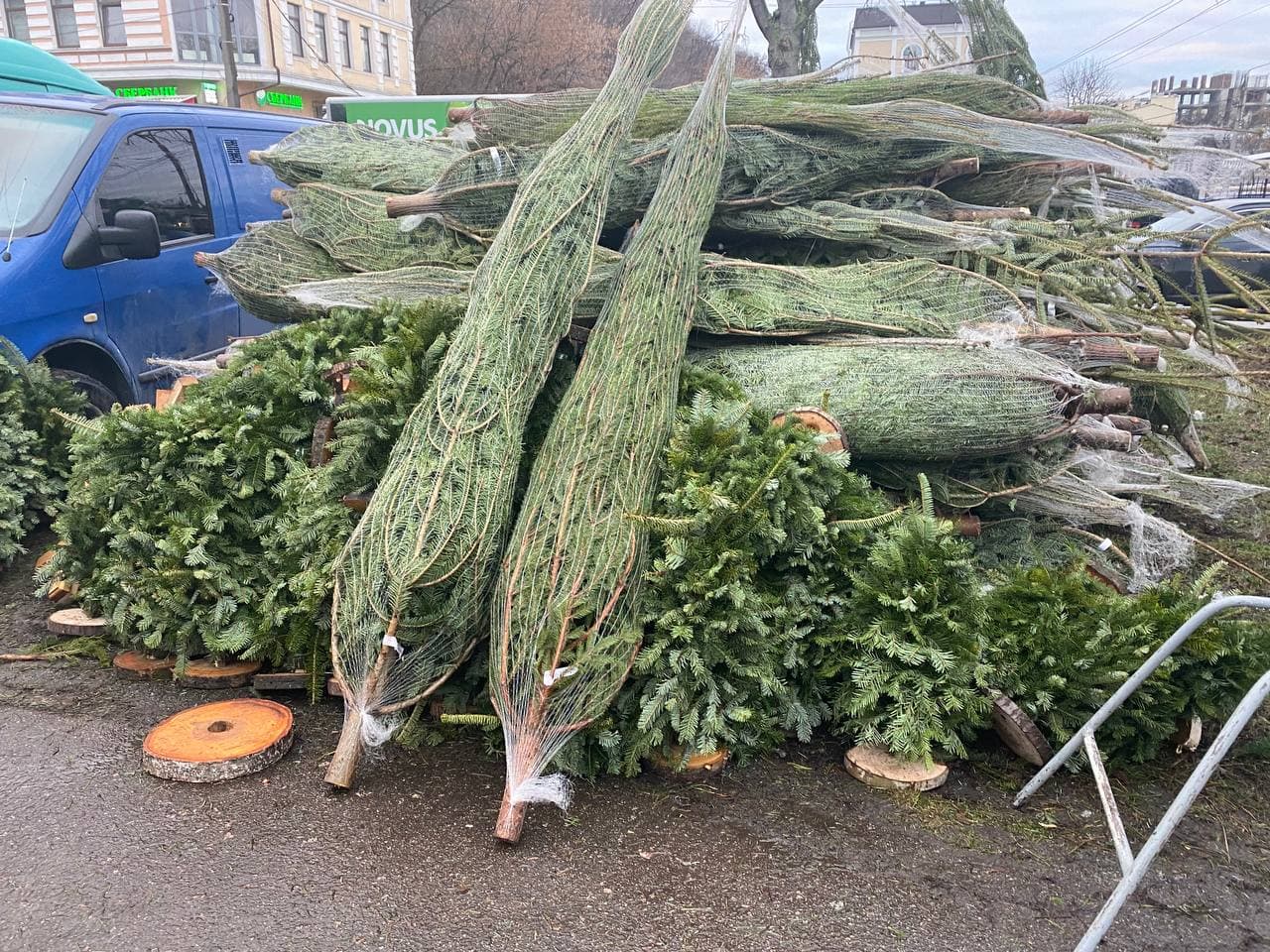 Елочный базар на Подоле