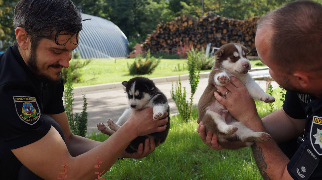 У Бучі родина взяла собі цуценя в поліцейському відділку.