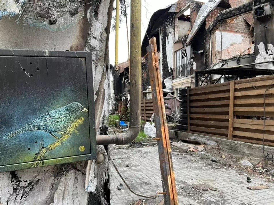 Парижский художник C215 создал несколько граффити в Киеве и области.