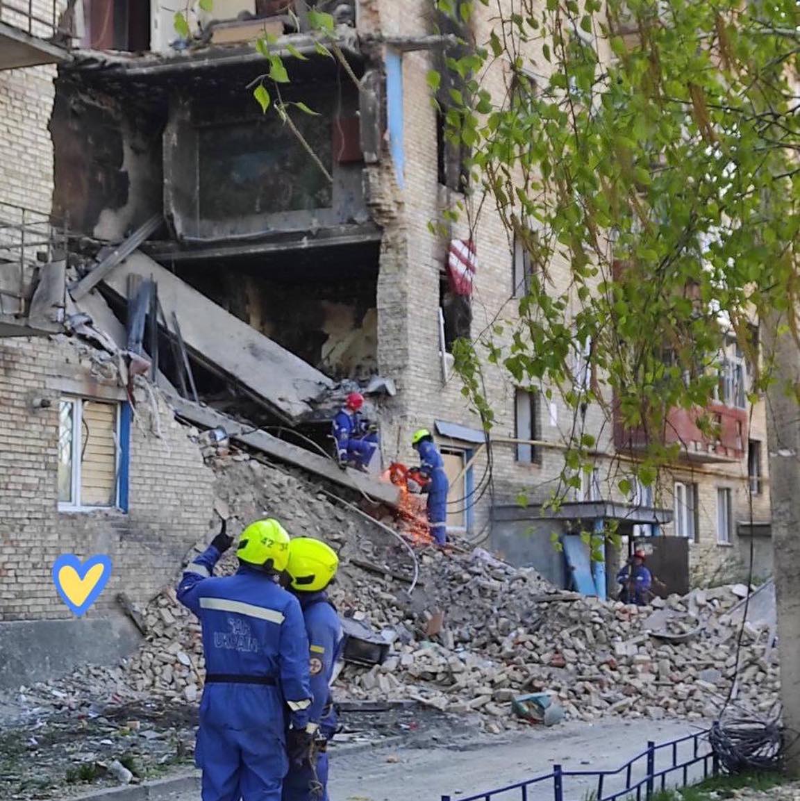 В Горенке из-под завалов дома спасли кота породы мэйн-кун.