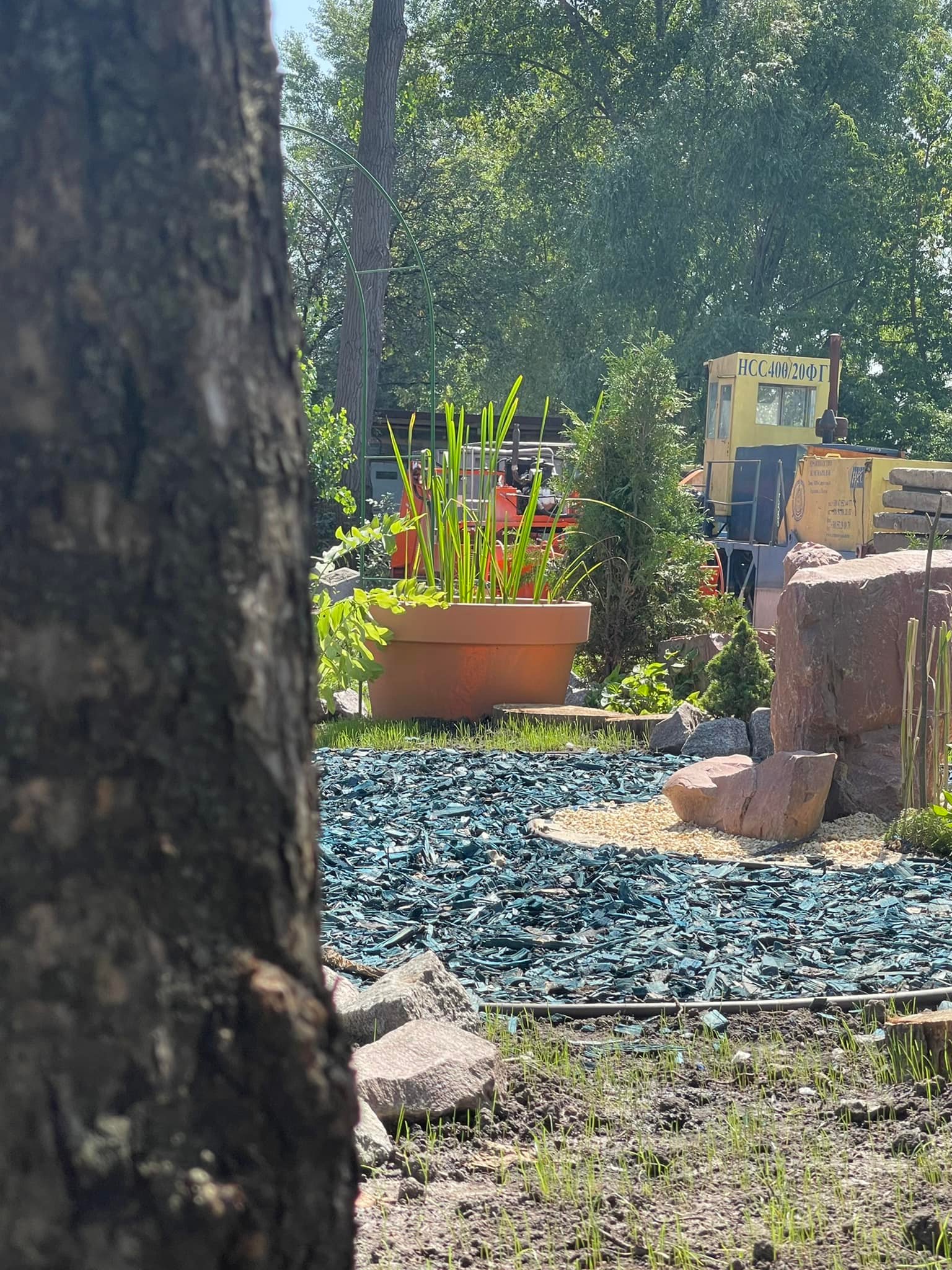 В Киеве стали появляться "Водные сады": для чего они нужны.