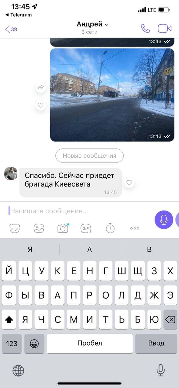 В Соцгороде собака справила нужду на столб и умерла от удара током фото 3 2