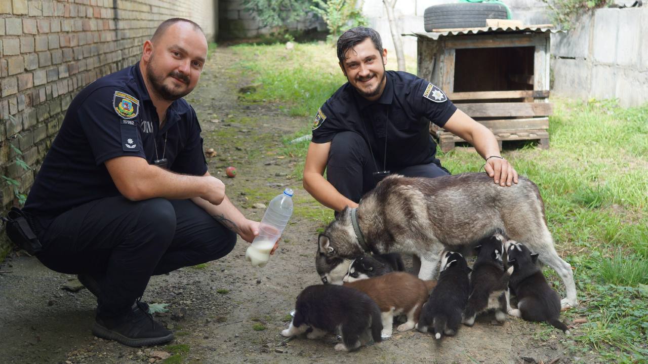 У Бучі родина взяла собі цуценя в поліцейському відділку.