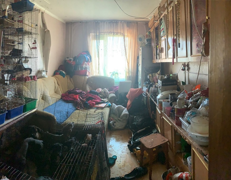 У Києві з неблагополучної родини вилучили 5-річну дівчинку та собак.