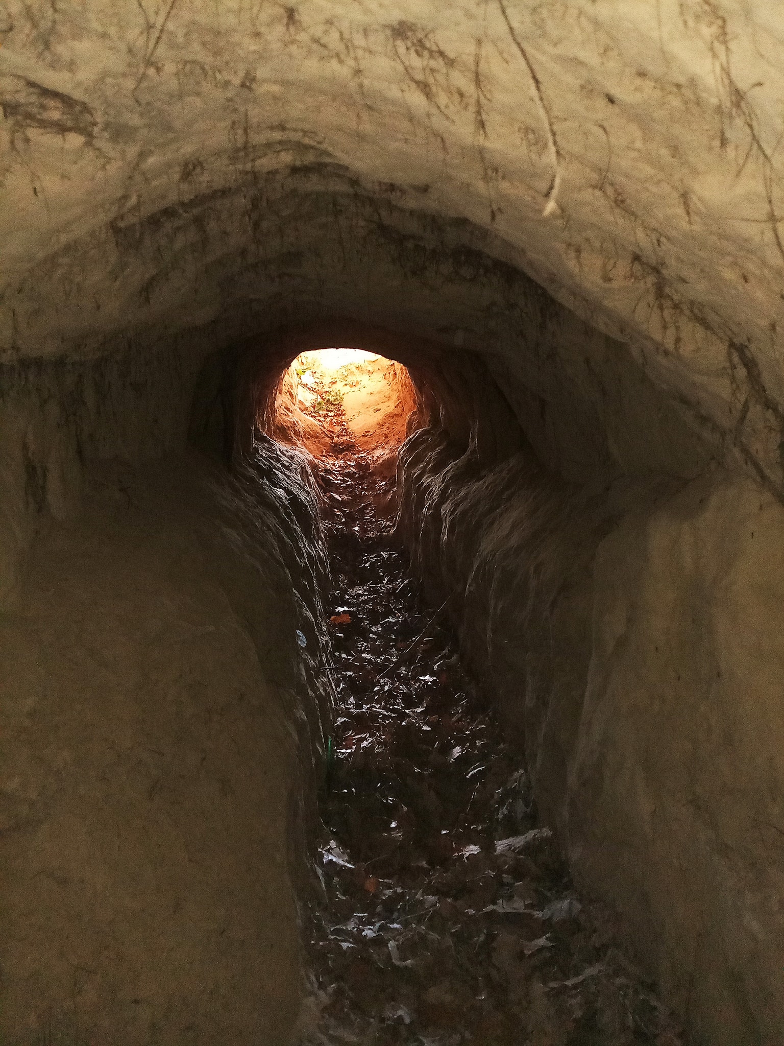 Куда пойти в Киеве на Хэллоуин: мистические экскурсии по городу.