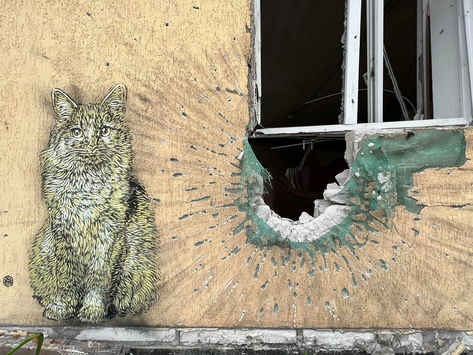 Парижский художник C215 создал несколько граффити в Киеве и области.