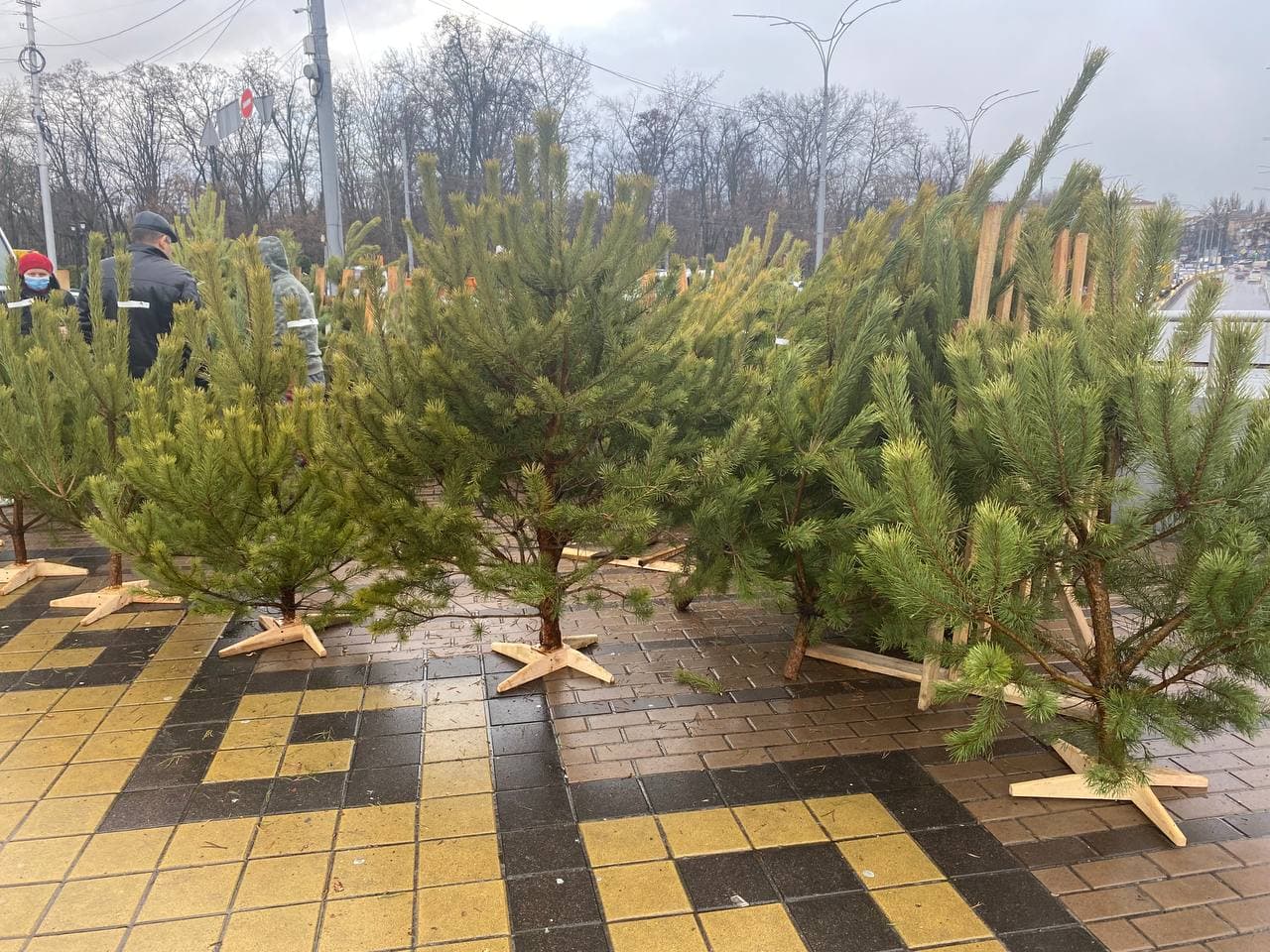 Елочный базар возле метро "Дорогожичи"