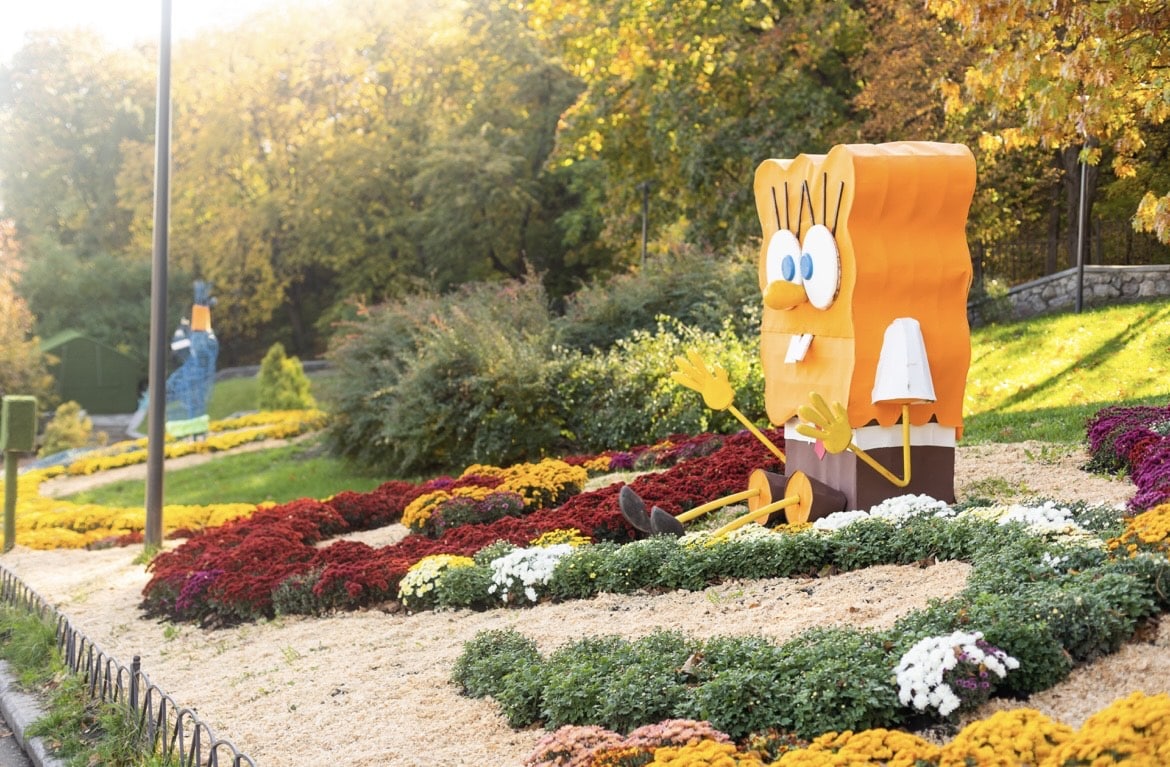 На Певческом поле проходит выставка хризантем.