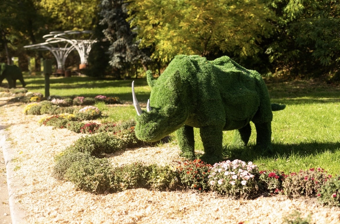 На Певческом поле проходит выставка хризантем.