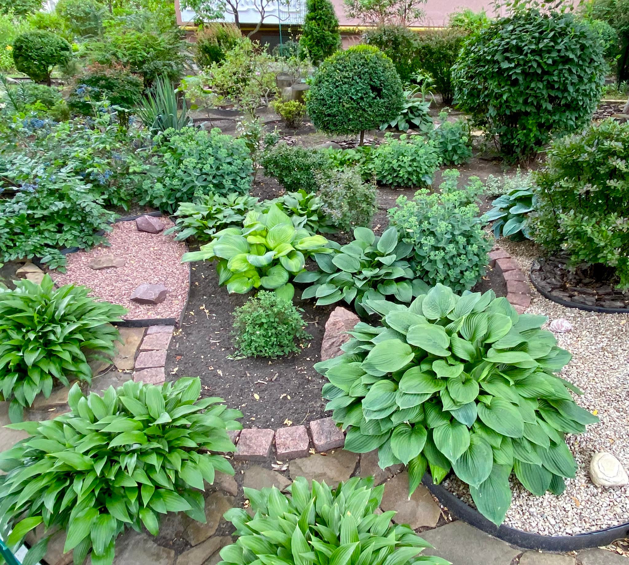 В Дарницком районе киевлянка создала небольшой сад во дворе.