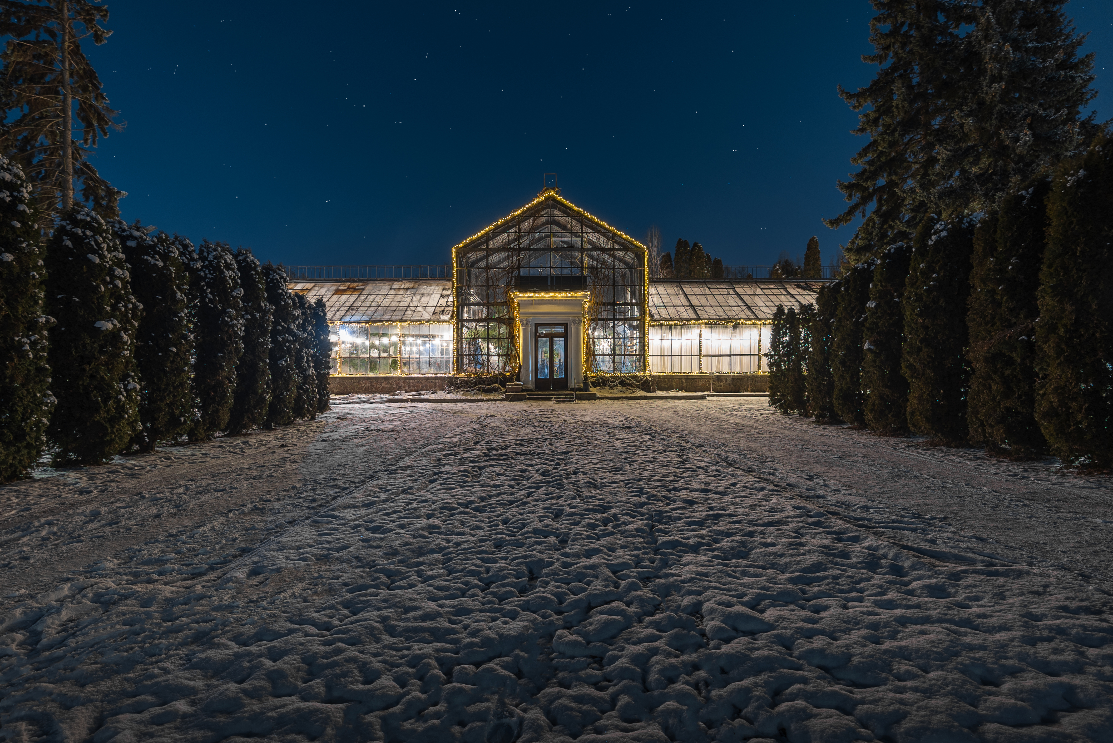 В Оранжерее на ВДНХ начал работу теплый бар с фотозонами