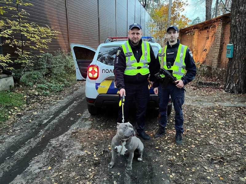 У Бучі поліцейські врятували собаку, який впав у колодязь.