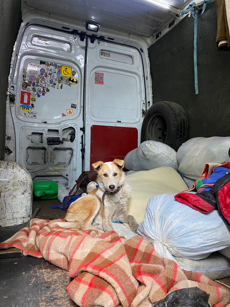 Музикант із Дніпра за підтримки Music Saves UA евакуює людей із лінії фронту.