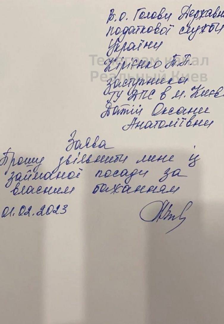 Голова подакової інспекції Києва Датій після обшуків звільнилася з посади.