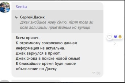 Новая семья отказалась от Джека