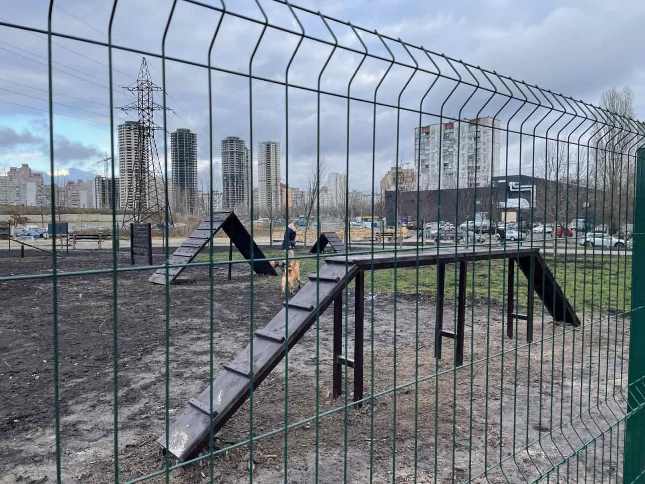 В Киеве появилось еще 9 площадок для выгула и дрессировки собак.