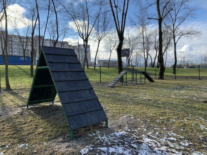 В Киеве появилось еще 9 площадок для выгула и дрессировки собак.