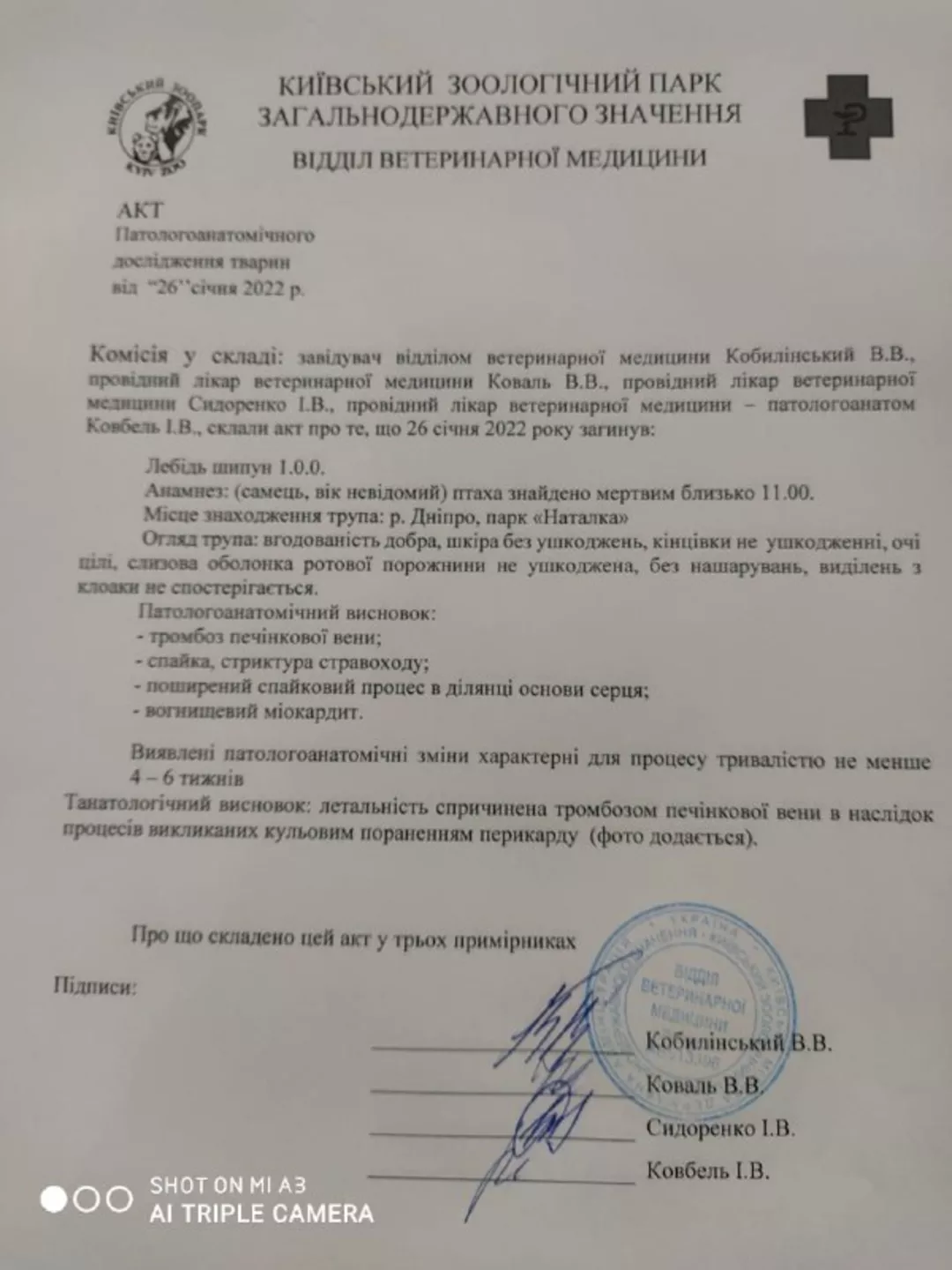 Лебедя, которого нашли мертвым в парке "Наталка", подстрелили.