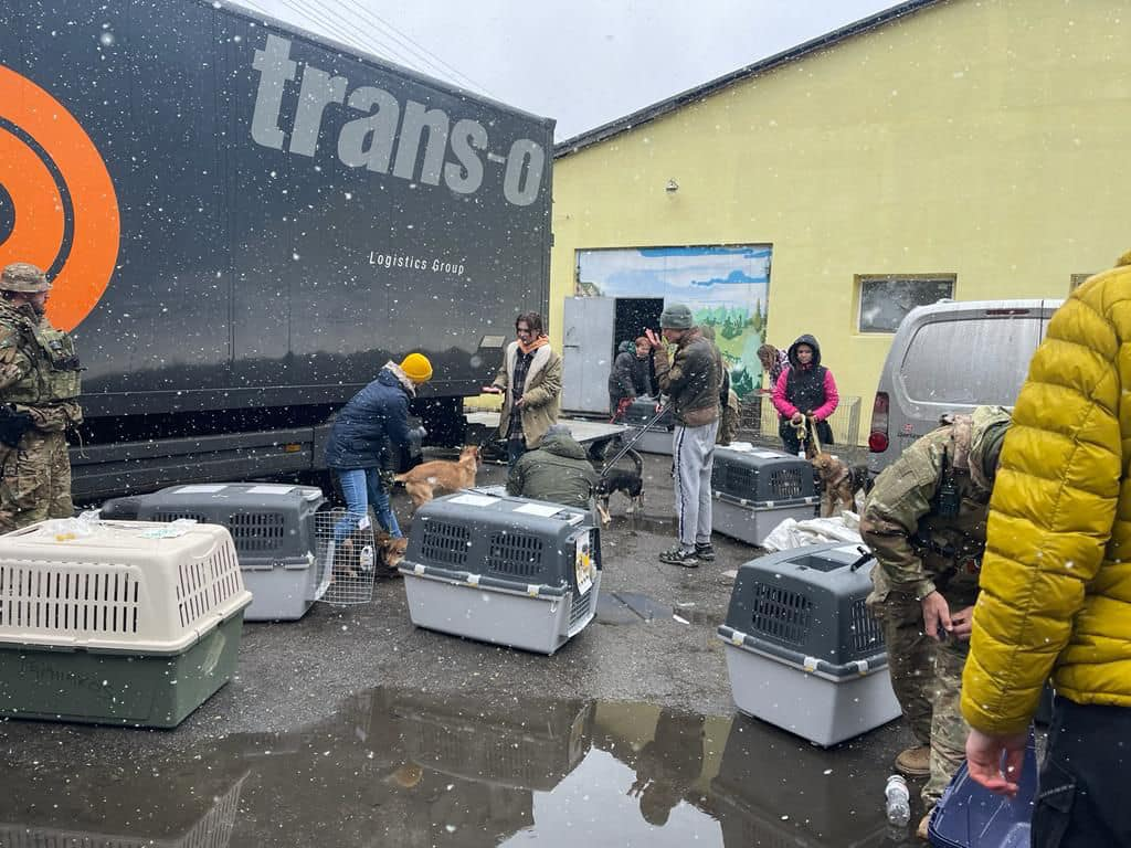 Волонтери врятували собак з Бородянського притулку.
