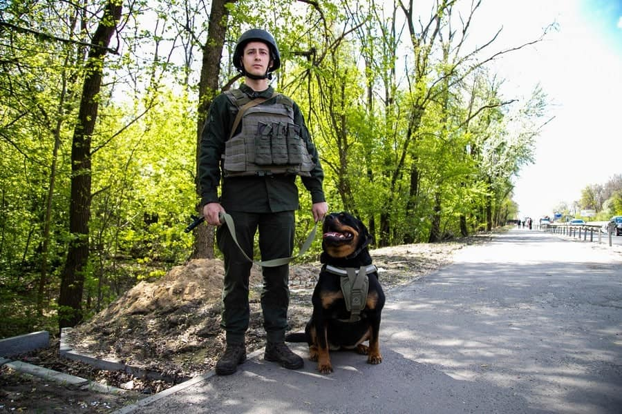 Ротвейлер Габріелла забезпечує оборону Києва на блокпостах.