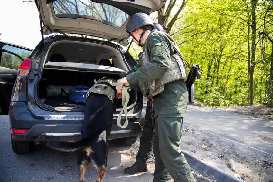 Ротвейлер Габриэлла обеспечивает оборону Киева на блокпостах.