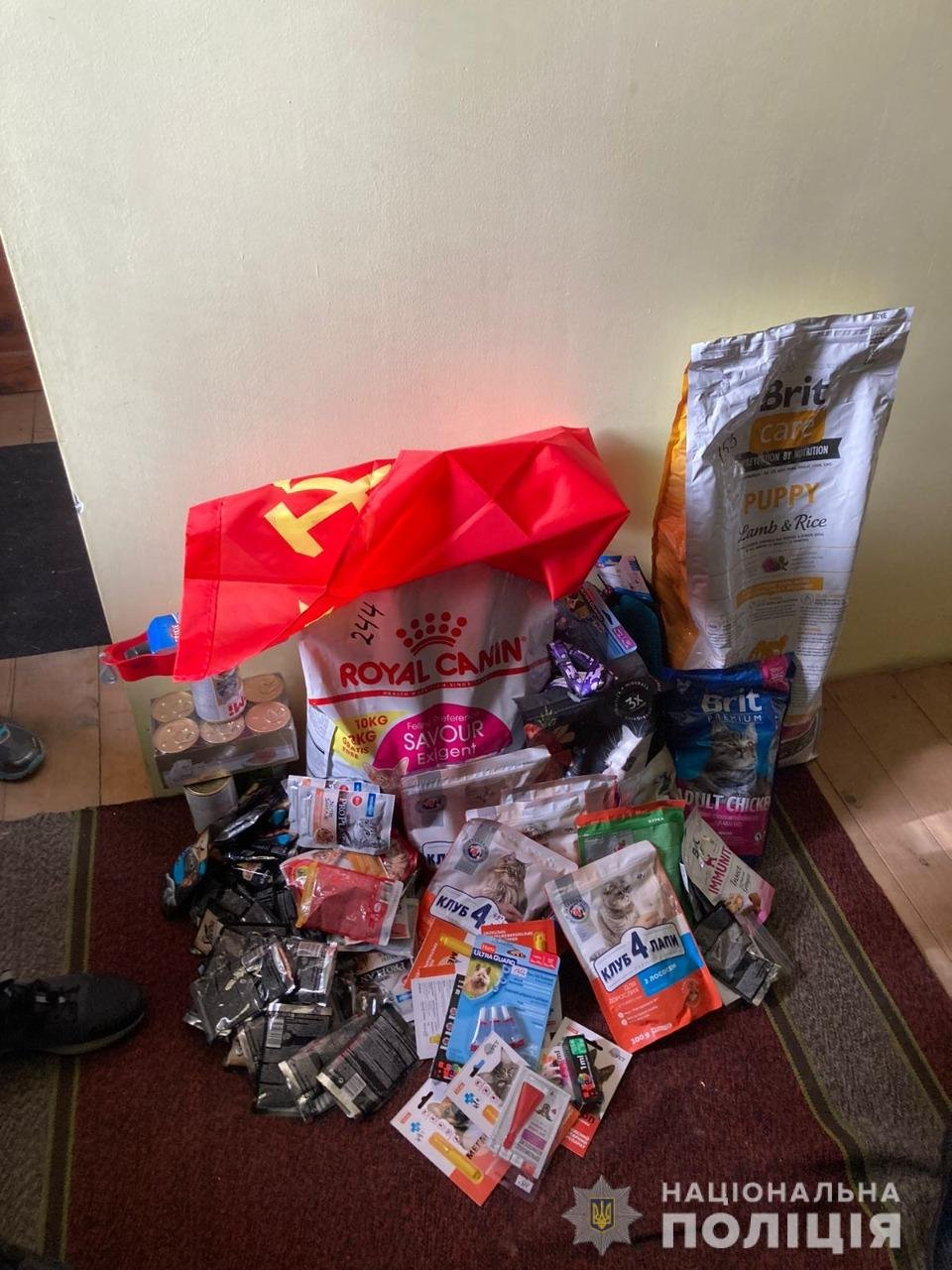 У Ірпені викрили посібницю окупантів, яка разом з ними займалася мародерством.