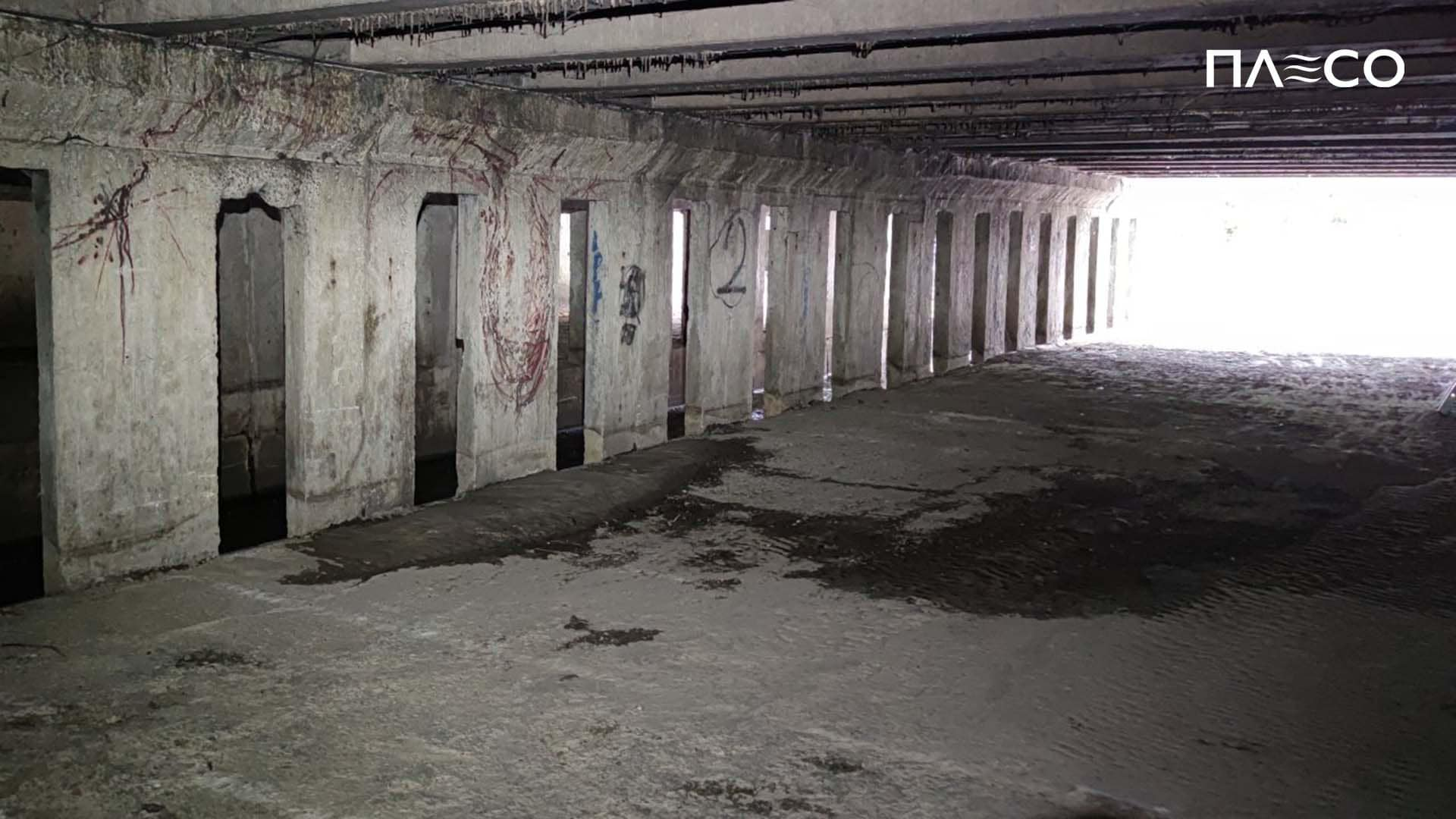 Коммунальщики спасли собаку, которая упала в реку Лыбедь.