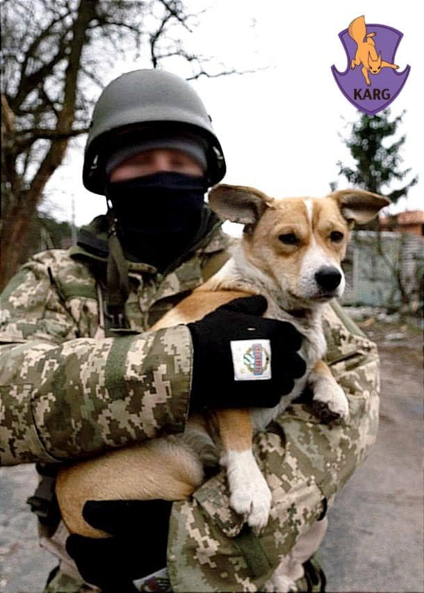 Пес, якого знайшли пораненим в Ірпені, поїхав у нову родину в Португалії.