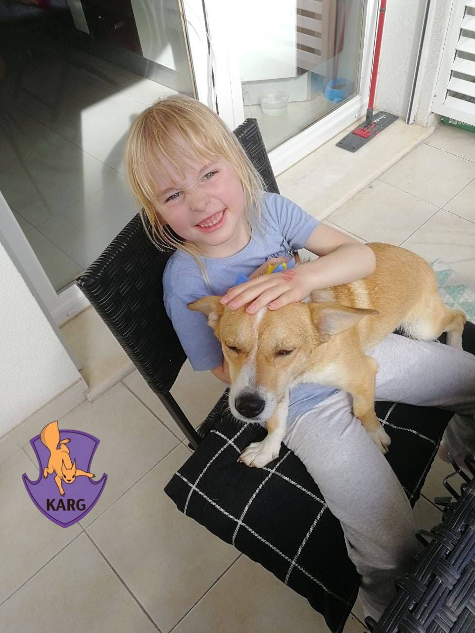 Пес, якого знайшли пораненим в Ірпені, поїхав у нову родину в Португалії.