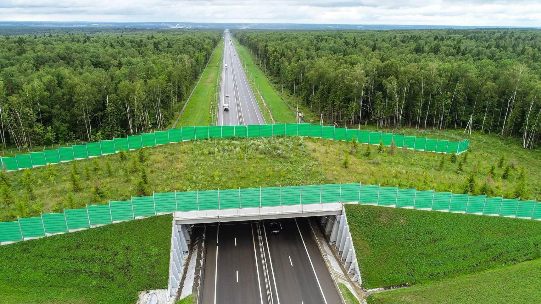 Так выглядят биопереходы для зверей. Фото: unitoll.ru.