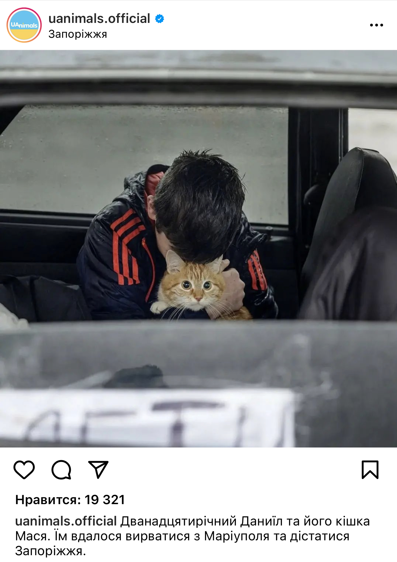 Instagram @uanimals.official