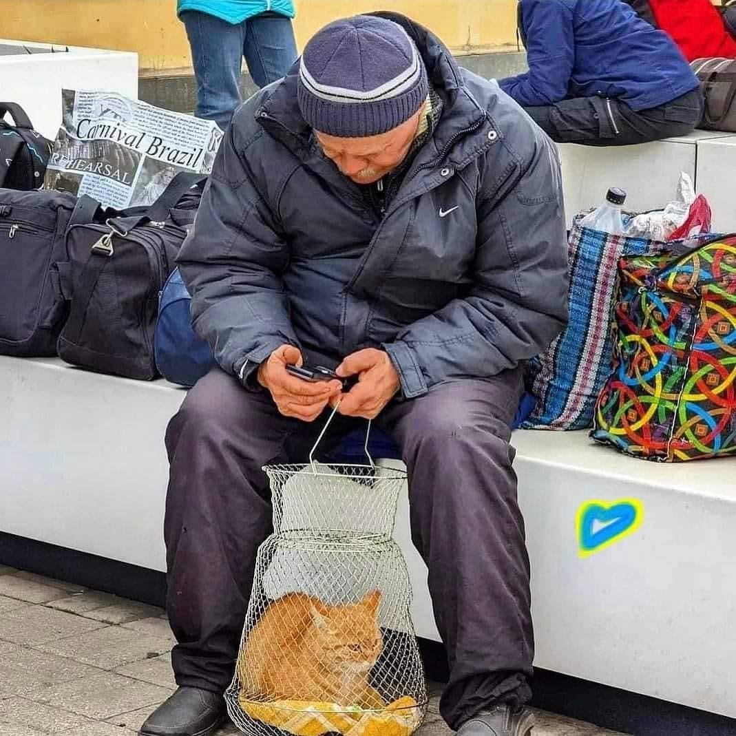 Twitter @turkmendagz